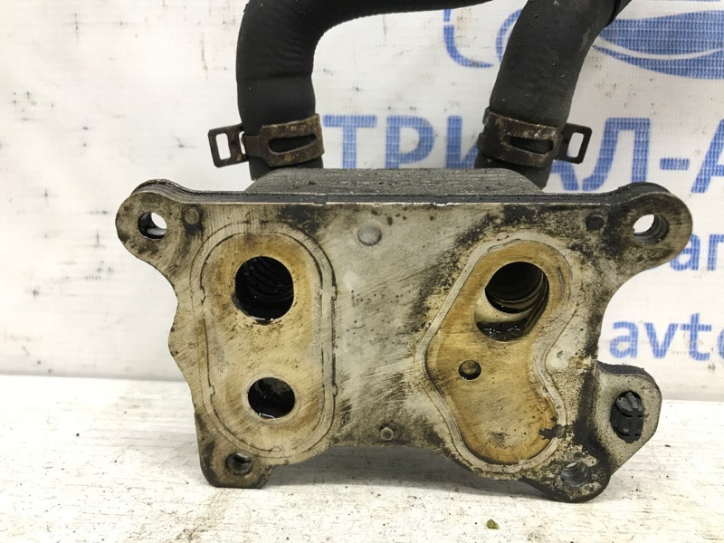 Радиатор масляный ДВС (теплообменник) Nissan Qashqai J11 1.2 БЕНЗИН HRA2DDT 2013 (б/у) Київ - зображення 2