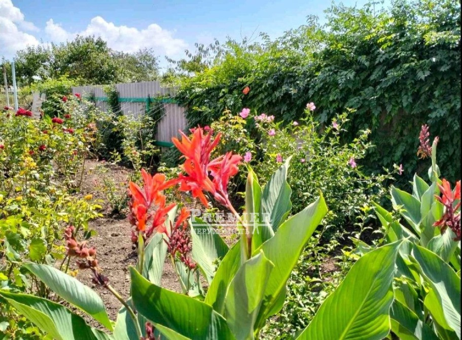 Продам будинок в Августівці Одеса - зображення 2