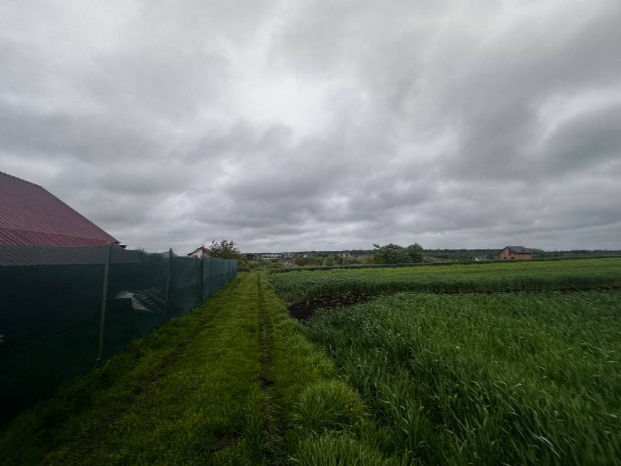 Продаж земельної ділянки Зубра осг 20соток Львів - зображення 3