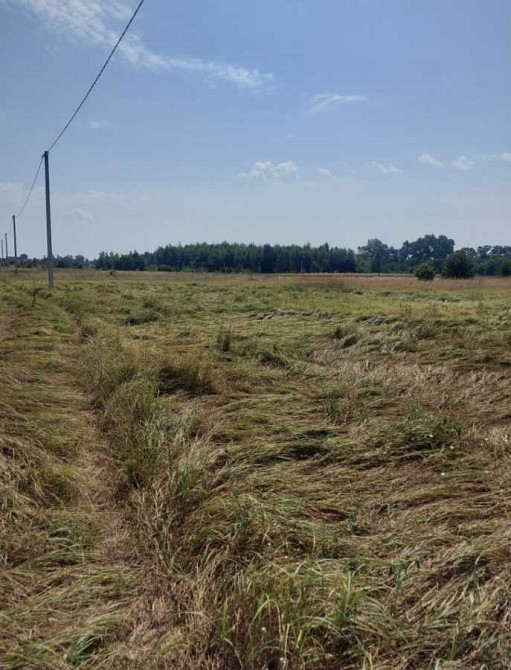 продажа участок под жилую застройку Вышгородский, Ясногородка, 7000 $  - изображение 2