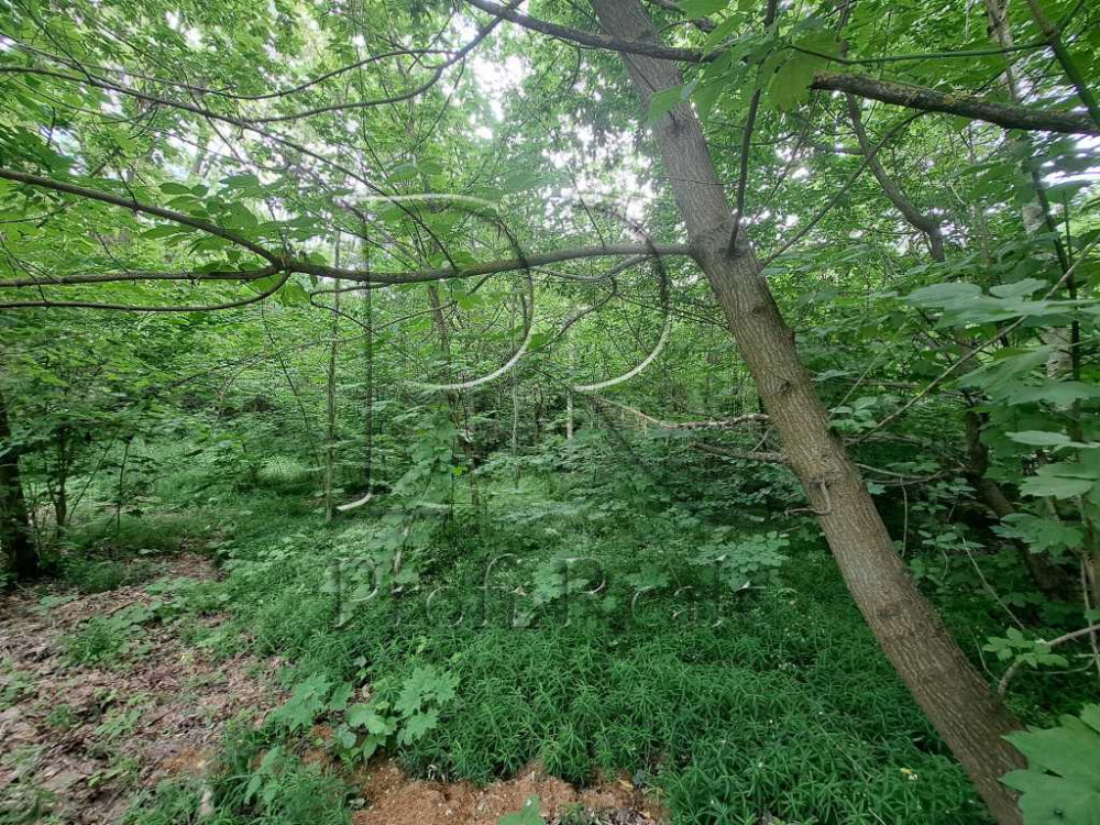 продажа участок под жилую застройку Обуховский, Креничи, 10000 $  - зображення 11