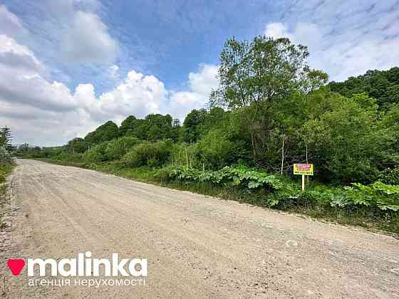 продажа земля сельскохозяйственного назначения Сколевский, Верхнее Синевидное, 20000 $ 