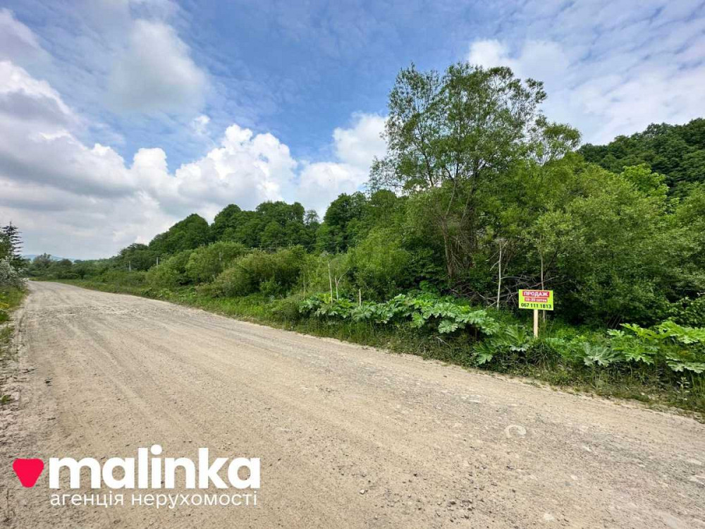 продажа земля сельскохозяйственного назначения Сколевский, Верхнее Синевидное, 20000 $  - изображение 1