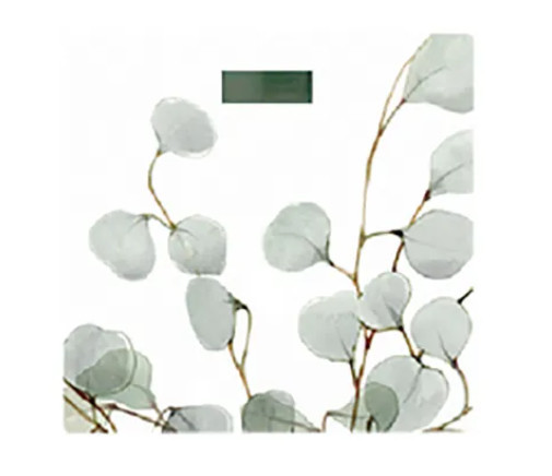 Ваги підлогові Grunhelm BES-EUC 180 кг Київ - зображення 1