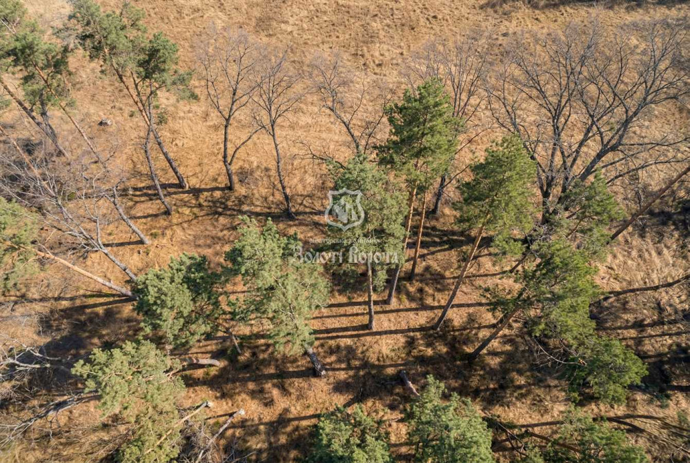 продажа участок под жилую застройку Мироновский, Козин, 1000000 $  - зображення 4