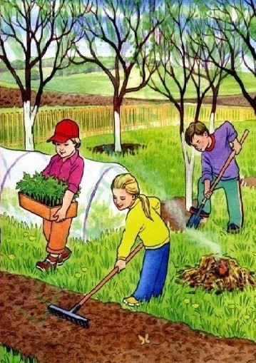 Господарник-садівник (вахта) Київ - зображення 1