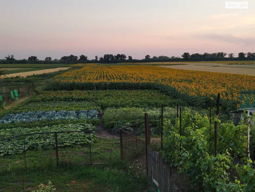 Продається будинок з 1 гектаром землі в с. Тавежня Харківської області Харків - зображення 4