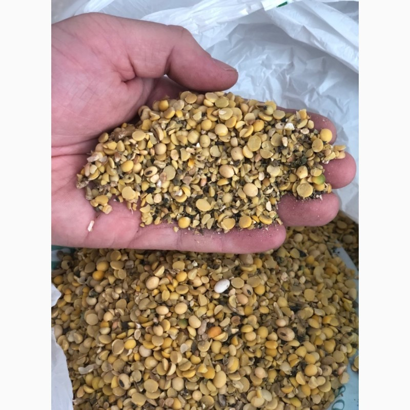 Куплю з самовивозом половинки сої, відхід кукурудзи Чернігів - зображення 1