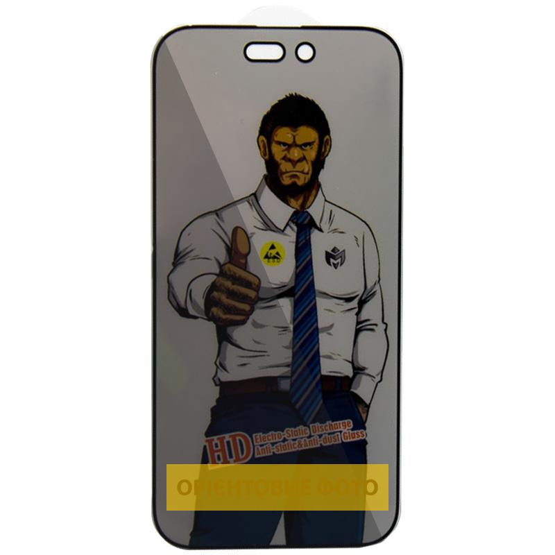 Защитное стекло Privacy 5D Anti-Static (тех.пак) для Apple iPhone 17 Air (6.5") Херсон - изображение 1