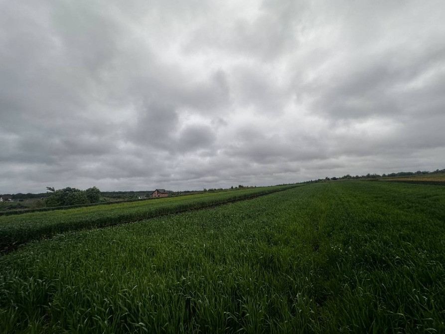 Продаж земельної ділянки Зубра осг 20соток Львів - зображення 6