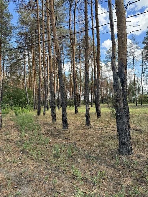 продажа участок под жилую застройку Новомосковский, Песчанка, 12500 $  - изображение 5