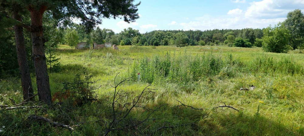 продажа земля сельскохозяйственного назначения Козелецкий, Остер, 90000 $  - зображення 1