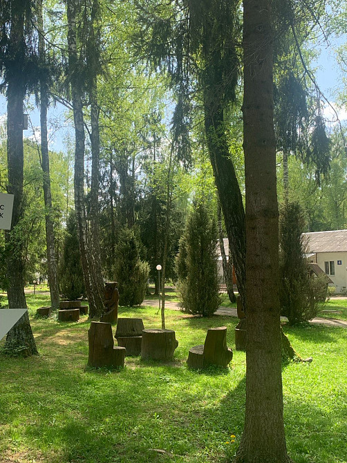 🌿 «Лікування, оздоровлення, відпочинок» у санаторії "Березовий гай" Вінниця - зображення 8