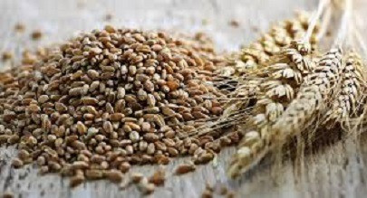 Закуповую некондицію, відходи с.г. культур, прострочений посівний матеріал Харьков - изображение 1