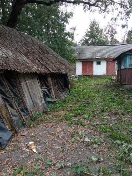 Продається будинок в селі Черниця Корец - изображение 3