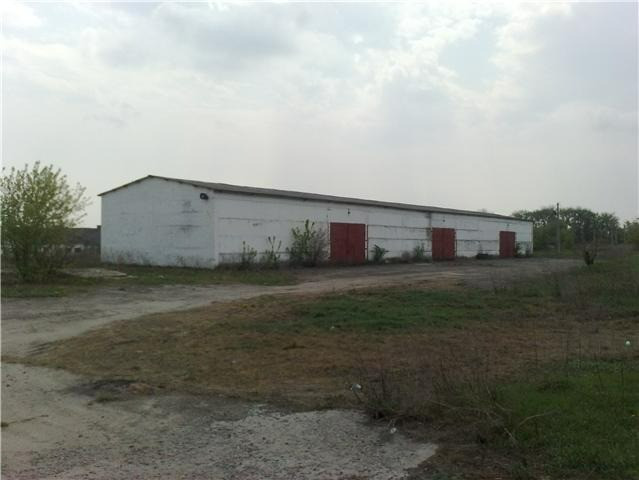 Продається овочева тваринницька садова ягідна равликова ферма Канів - зображення 6