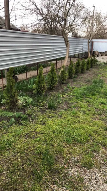 Продаж будинку Арнаутово Кропивницький - зображення 8