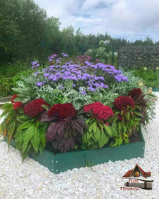 Грядка, клумба, Альпійська гірка Київ - зображення 2