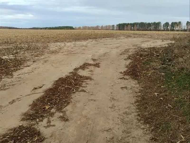 продажа земля сельскохозяйственного назначения Макаровский, Наливайковка, 404888 грн.  - изображение 3