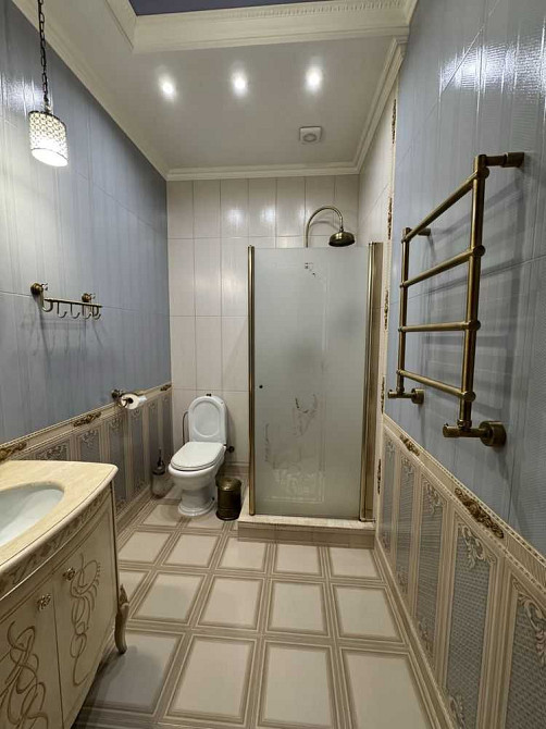 продажа 6-к дом Васильковский, Мархалевка, 500000 $  - изображение 12