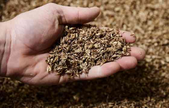 Купуємо відходи с/г культур Київ