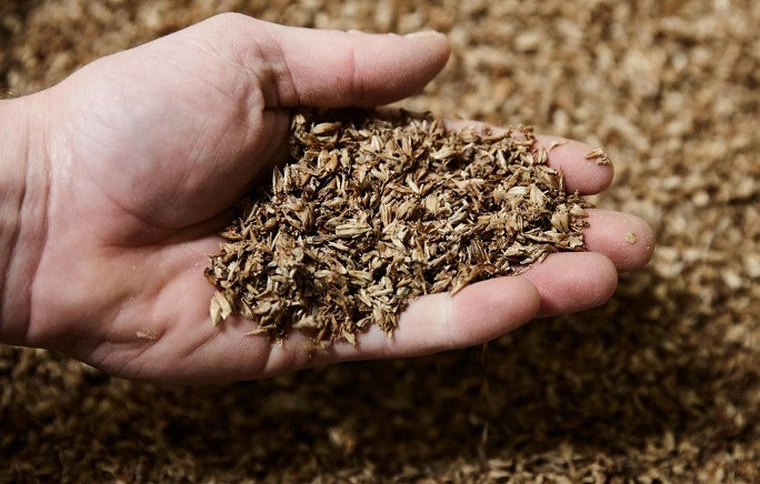 Купуємо відходи с/г культур Київ - зображення 1