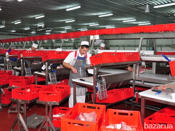 Линия обвалки КРС и свиней. Цех обвалки Львів - зображення 2