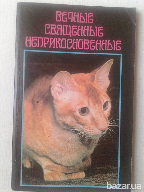 КОШКИ ("Вечные,священные,неприкосновенные") Нікополь - зображення 1