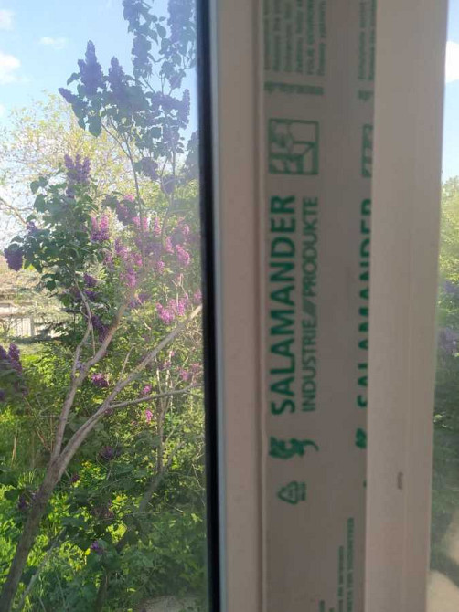 продажа 5-к дом Васильковский, Мархалевка, 75000 $  - зображення 4