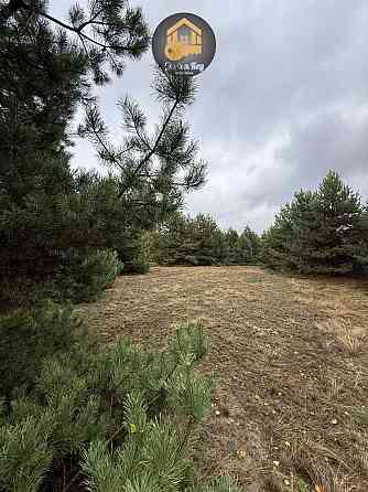 продажа участок под жилую застройку Вышгородский, Абрамовка, 10000 $ 