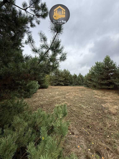 продажа участок под жилую застройку Вышгородский, Абрамовка, 10000 $  - зображення 6