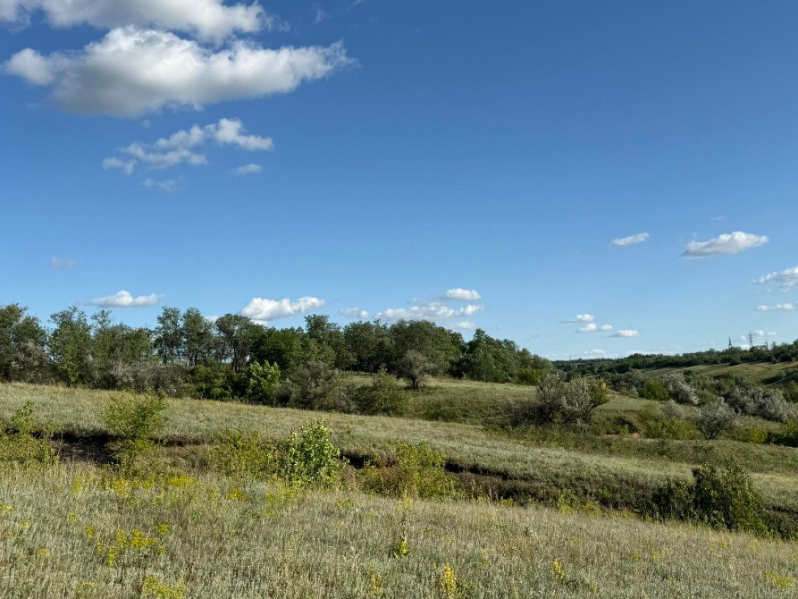 Продаж земельної ділянки,пл. 2 га, з боку Криворізької траси. Дніпро - зображення 1