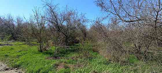 4га Александровка Лиманский район Одесса