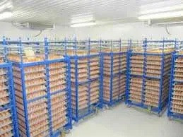 Холодильна камера Тривалого зберігання яєць (встановлення під ключ) Київ - зображення 3