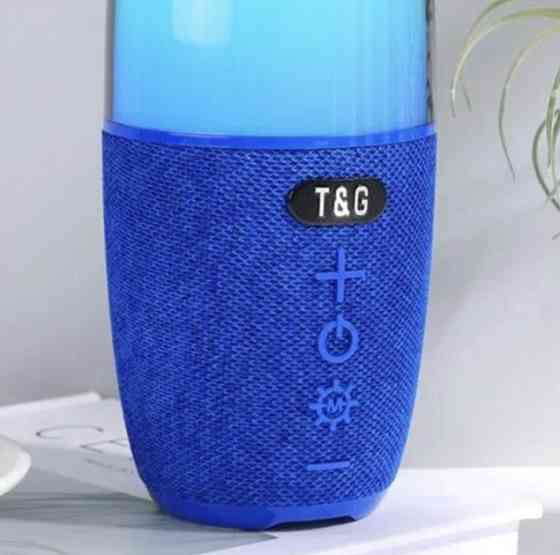 Колонка портативная Bluetooth T&G TG644 blue синяя Київ