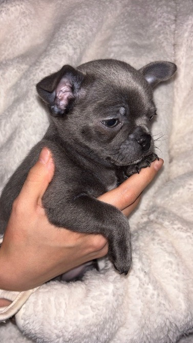 Предлагается к бронированию Харків - зображення 5