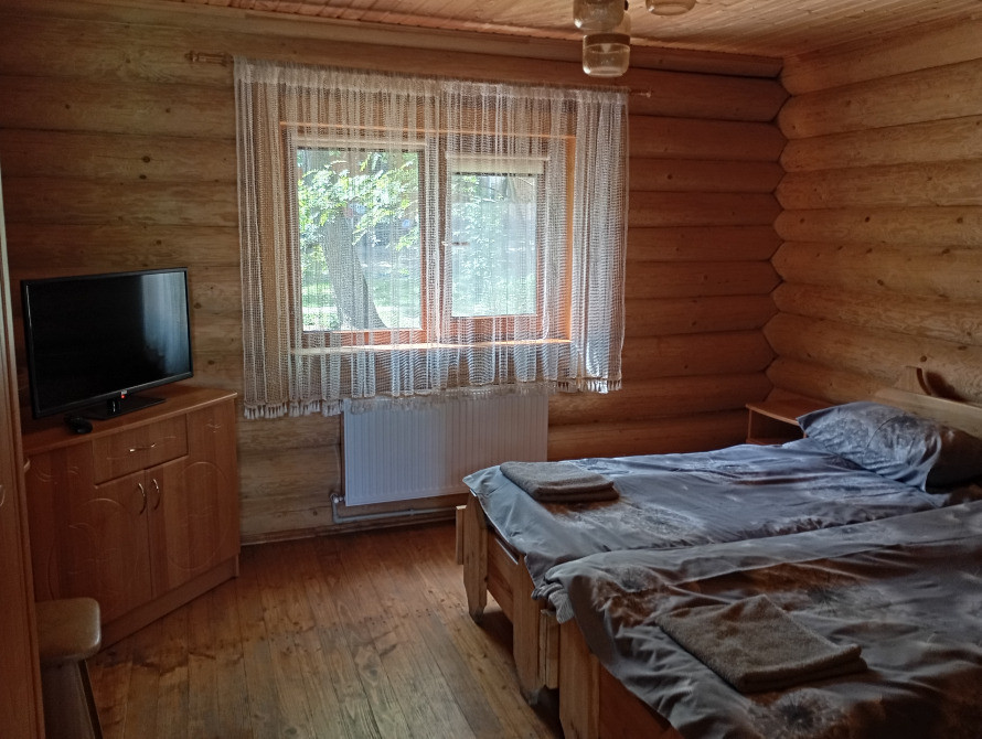 Оренда (подобово) Будиночок сімейного затишку на 2 спальних місця Кривий Ріг - зображення 5