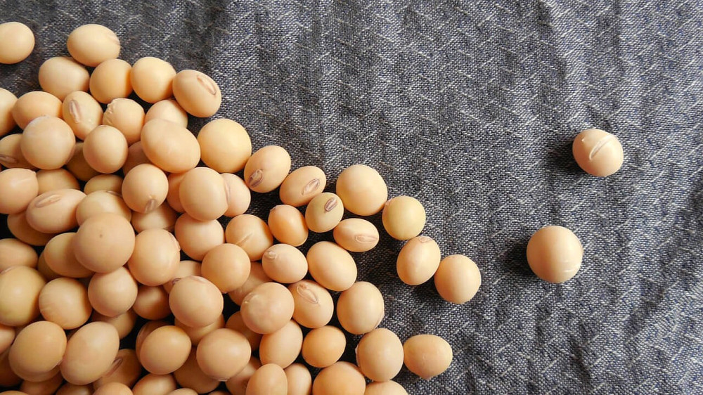 Куплю кукурудзяні відходи, половинки сої Київ - зображення 1