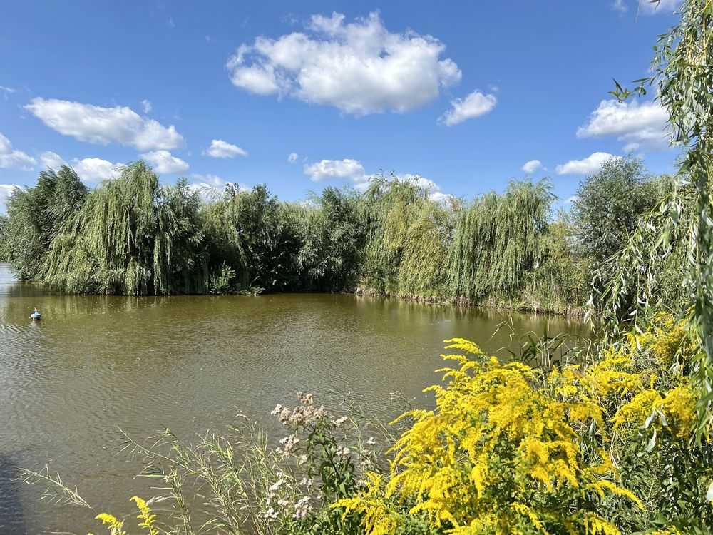 продажа земля сельскохозяйственного назначения Киево-Святошинский, Белогородка, 800000 $  - изображение 10