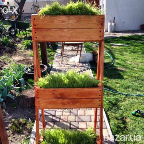 Кашпо из дерева для цветов, овощей и фруктов. Кашпо з дерева. Киев - изображение 4
