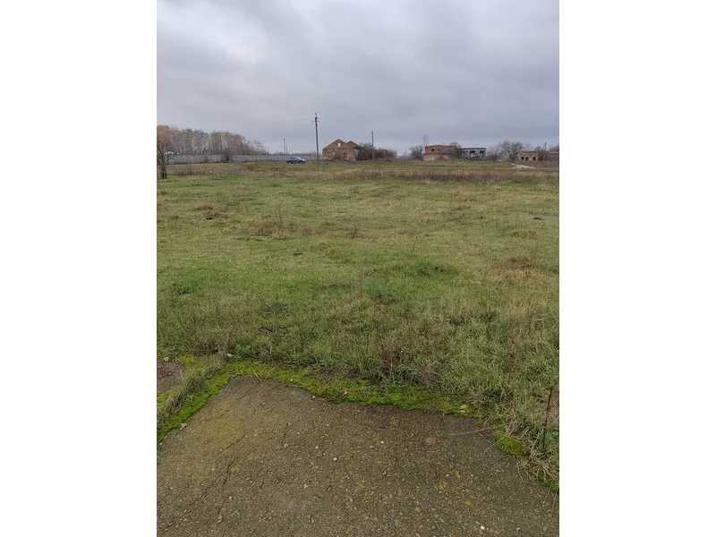 продажа земля сельскохозяйственного назначения Козелецкий, Омельянов, 64482 грн.  - зображення 2