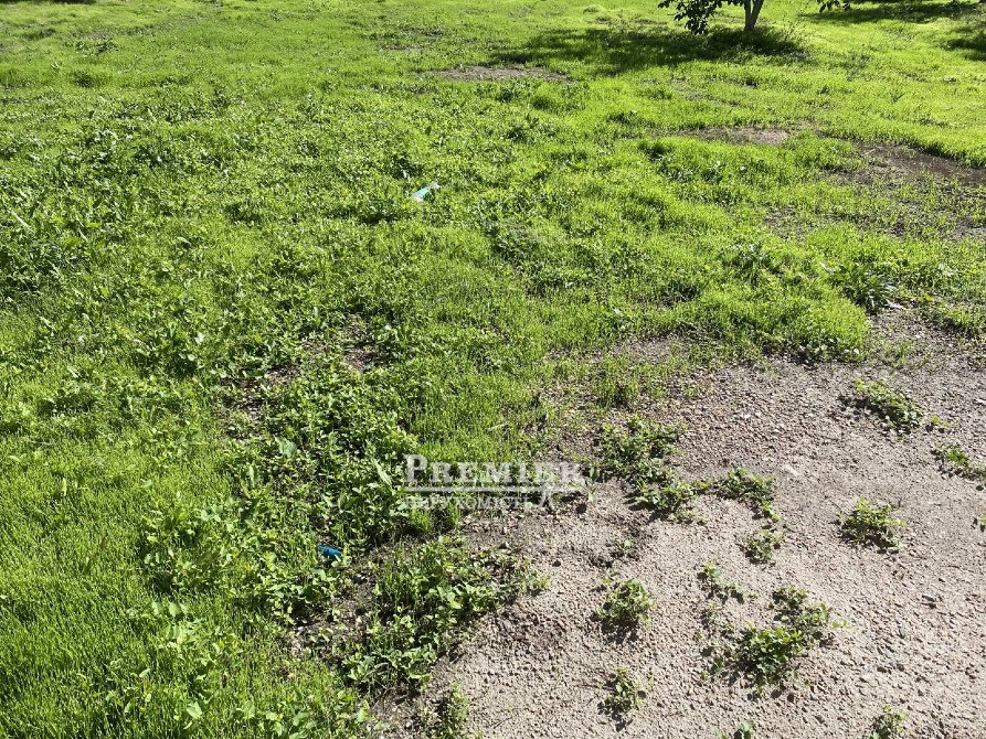 Ділянка у Лісках! Одеса - зображення 6