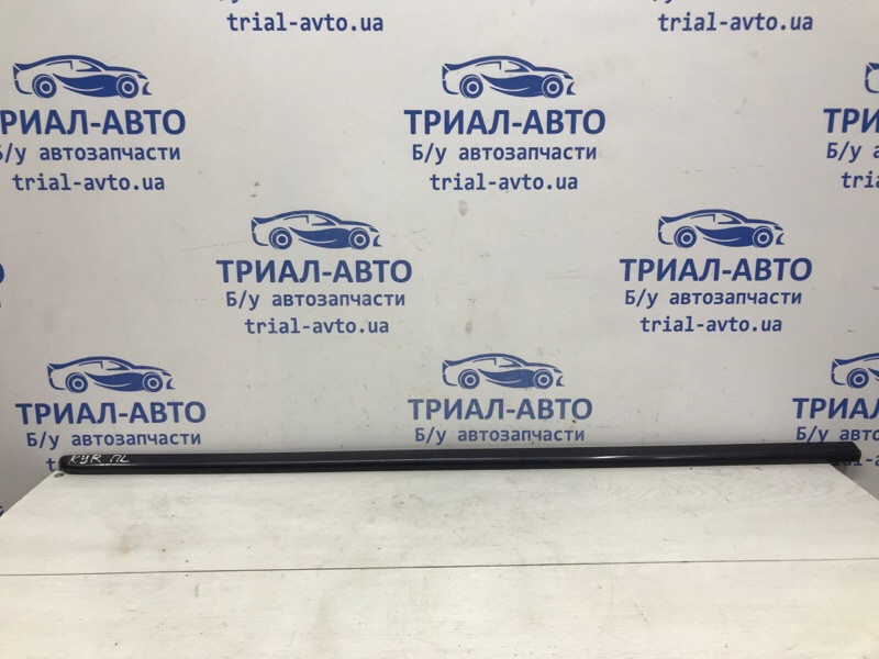 Накладка двери SsangYong Kyron DJ 2.7 D27DT 2005 перед. лев. (б/у) Киев - изображение 1