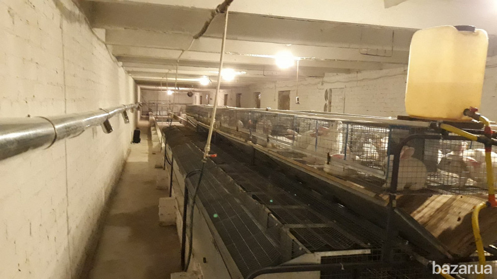 Отопление кролефермы. Кременчук - зображення 2