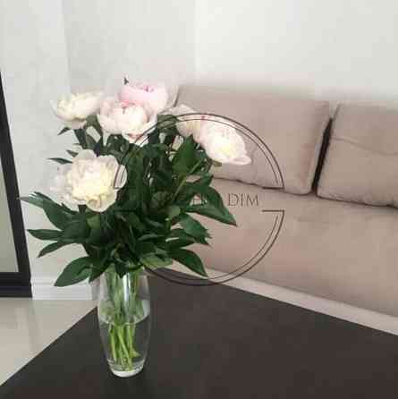 Оренда 1-но к. квартири на Позняках. № 11199336 Київ