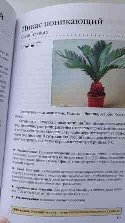 Книга комнатные растения. Новое руководство по уходу. Воронцов В. В. Киев