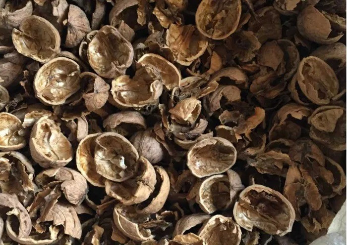 Шкаралупа волоського горіха. Альтернативна заміна вугіллю і дровам Косов - изображение 2