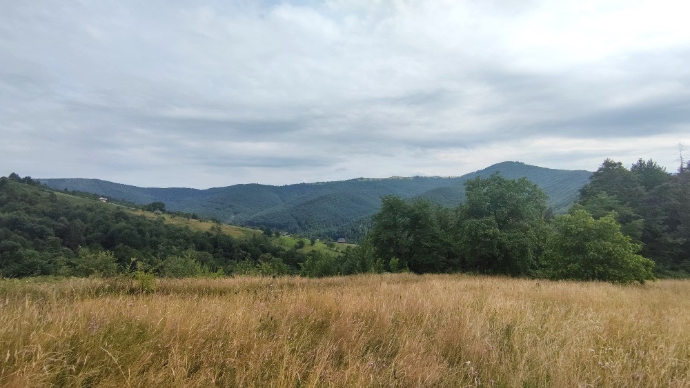 Земельна ділянка в Яремче 0.76 га Яремче - зображення 5