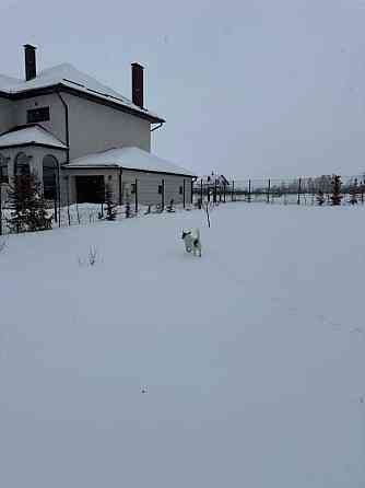 продажа 5-к дом Броварский, Богдановка, 200000 $ 