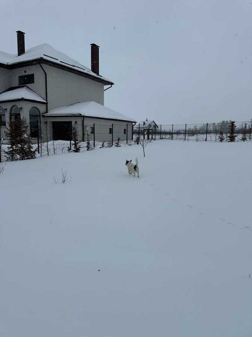 продажа 5-к дом Броварский, Богдановка, 200000 $  - зображення 3